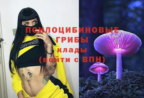 тгк Абинск