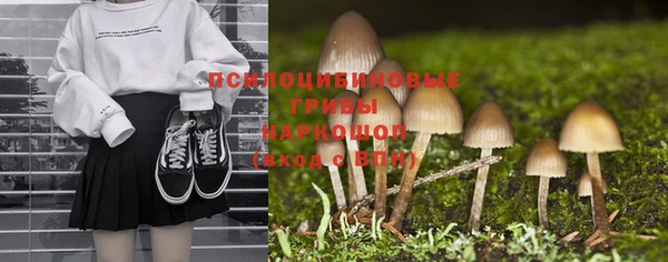 тгк Абинск