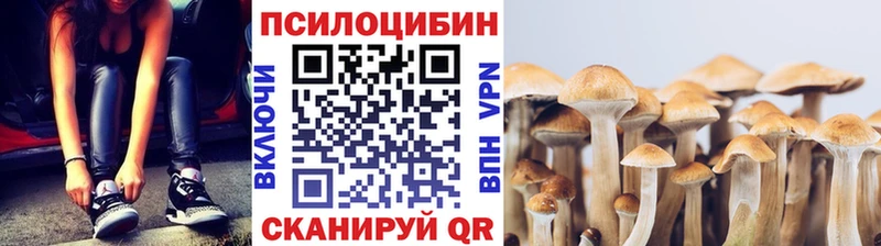 Галлюциногенные грибы Cubensis  наркошоп  Отрадная 